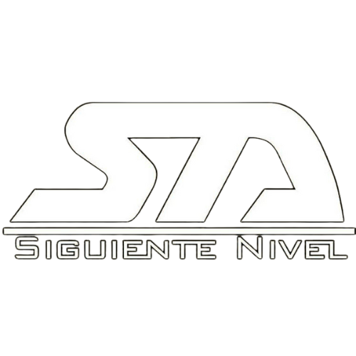 Logo agencia siguiente nivel